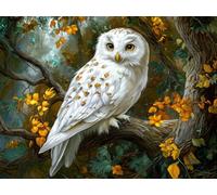 5D Beautiful White Owl Diamond Art 12x16 Inch Full Drill Diamond Painting Kits for Adults & Beginners - DIY Art Crafts for Relaxation and Home Wall Decor 30