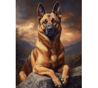 5D Belgian Malinois Diamond Art 12x16 Inch Full Drill Diamond Painting Kits for Adults & Beginners - DIY Art Crafts for Relaxation and Home Wall Decor 702