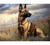 5D Belgian Malinois Diamond Art 12x16 Inch Full Drill Diamond Painting Kits for Adults & Beginners - DIY Art Crafts for Relaxation and Home Wall Decor 356