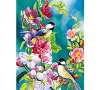 5D Diamond Art by Number Kit, Full Drill Flowers Birds Tree Flowers Rhinestone Embroidery Cross Stitch Supply Arts Craft Canvas Wall Decor