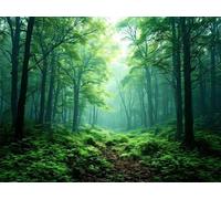 5D Diamond Art Green Forest Diamond Painting Kit, 100x70cm Diamond Art Painting Kits Adults Kids, DIY Round Full Drill Diamond Dots Cross Stitch Crafts Pictures, Home Wall Decor Gifts 40x28inch B-9414