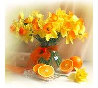 5D Diamond Art Kit Daffodil Orange Diamond Painting Kits Cross Stitch Arts Full Drill Rhinestone Embroidery Craft for Home Wall Decor 11.8 X 15.7 Inch,Not Frame