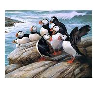 5D Diamond Art Kit Seaside Puffin Diamond Painting Kits Cross Stitch Arts Full Drill Rhinestone Embroidery Craft for Home Wall Decor 11.8 X 15.7 Inch,Not Frame