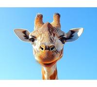 5D Diamond Art Kits Adults Giraffe Diamond Painting 90x60cm 7-47SSS