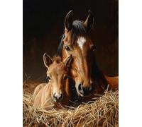 5D Diamond Art Kits Adults Horse Diamond Painting, DIY Paint by Numbers Animal, Cross Stitch Kits for Adults, Full Drill Crystal Art Mosaic Picture, Painting for Home Wall Decor Gifts 28x38 in A-3921