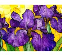 5D Diamond Art Kits Adults Plant Diamond Painting Accessories Abstract Full Drill Crystal Art Gem Gem Cross Stitch Pictures Arts Crafts Embroidery Kit for Beginner Kids Home Wall Decor 45x60cm h-869