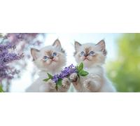 5D Diamond Art Kits for Adults Large Size, Mommy Wisteria Flower Diamond Painting Kits for Adults, DIY Square Full Drill Crystal Rhinestone Gem Art Craft Kits, Home Wall Room Decor 12x28 Inch Z-490