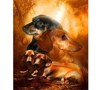 5D Diamond Art Painting Kits Dachshund Couple 16x20in Diamond Embroidery DIY Full Drill Crystal Rhinestone Cross Stitch Canva Pictures Perfect for Parent Child Activity and Child Gift40x50cm