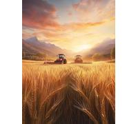 5D Diamond Art Sunset Diamond Painting, Landscape DIY Cross Stitch Kits for Adults, Full Drill Crystal Art Crafts Painting Picture, Hobbies for Adults Women, Room Decor, Gifts for Women 40x54in P-5604