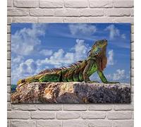 5D Diamond Painting Animal Iguana DIY Diamond Painting Kits for Adults/Kids, Diamond Art Painting Diamond Embroidery Cross Stitch, for Living Room Bedroom Wall Decor Round Drill 30x40cm(12x16inch)