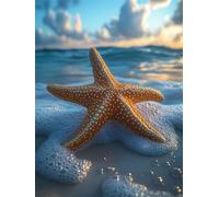 5D Diamond Painting Beach Small Diamond Art for Adults Kids 20x30cm Paint by Numbers for Adults Starfish Full Drill DIY Rhinestone Gem Art Cross Stitch Embroidery Kit for Home Wall Decor Gifts L-352
