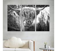 5D Diamond Painting by Number Kits Full Drill Square Drill Highland Cow 30x40cm Diamond Art,5d Diamond Painting,Diamond Embroidery Pictures Arts Craft Mosaic Digital Kit Home, Office,Room Decoration