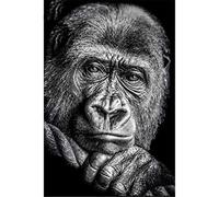 5D Diamond Painting by Numbers Kits Full Drill Gorilla Diamond Painting Adults/Kids DIY Paste Crystal Rhinestone Embroidery Cross Stitch Diamond Art Craft for Home Wall Decor