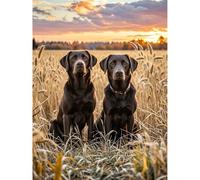 5D Diamond Painting Chocolate Labrador and Black Labrador Diamond Art DIY Kits Full Round Drill Crystal by Number Embroidery Arts and Crafts for Living Room Bedroom Home Wall Decor 12x16 inch