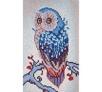 5D Diamond Painting DIY Full Drill Rhinestones, ABEUTY Colored Owl on The Branch, Paint with Diamonds Crystal Diamond Art Kits (Owl)