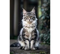 5D Diamond Painting DIY Kits Maine Coon Cat Kitten Diamond Art Full Round Drill Crystal by Number Embroidery Arts and Crafts for Living Room Home Wall Decor 12x16 inch / 30x40cm