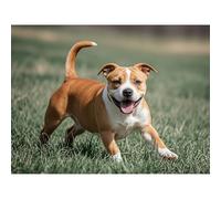 5D Diamond Painting Fawn Staffordshire Bull Terrier Diamond Art DIY Kits Full Round Drill Crystal by Number Stitch Embroidery Arts and Crafts for Living Room Home Wall Decor 12x16 inch / 30x40cm