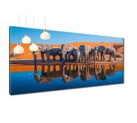 5D Diamond Painting for Adults Elephant Diamond Art Kits, DIY Square Full Drill Embroidery Cross Stitch Painting by Numbers, Cover Crystal Gem Art and Crafts for Adults Home Wall Decor 40x79 in T3-822