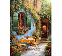 5D Diamond Painting Garden, DIY Nostalgia Diamond Art Kits Adults Square Full Drill Gem Arts and Crafts for Adults kit Crystal Art Rhinestone Canvas Painting for Home Wall Decor Gifts 20x28 inch Q4-8