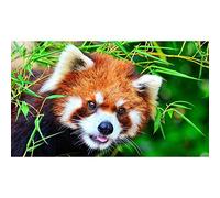 5D Diamond Painting Kit DIY Red Panda Cross Stitch Kits for Adults Rhinestone Embroidery Cross Stitch Arts Craft for Home Wall Decor(30X40Cm)
