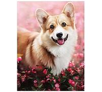 5D Diamond Painting Kit for Adults Kids Puppy Welsh Corgi DIY Diamond Painting Kits Full Drill Crystal Rhinestone Embroidery Pictures Cross Stitch Art Craft Gifts for Home Wall Decor (30x45cm)