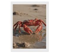 5D Diamond Painting Kit for Adults, Red Crab Full Round Drill DIY Diamond Art with Sparkling Gems - Complete Set for Beginners, Unique Wall Decor Gift 12"x16"
