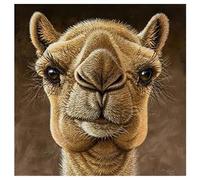 5D Diamond Painting Kits,Animal Camel Adults Kids Round drill Diamond Art by Numbers Kits DIY Full Drill Crystal Embroidery Cross Stitch Diamond Paintings Craft for Home Office Wall Decor 40x40cm