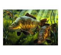 5D Diamond Painting Kits Crafts for Adults 5D DIY Diamond Painting Carp Fish Lake Set Cross Stitch Kit Koi Fish Full Drill Diamond Embroidery Mosaic Art Picture Gift Decor,30 * 40Cm