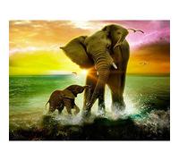 5D Diamond Painting Kits, Elephant and Small Elephant Sea Colorful Clouds Animals WOWDECOR Full Drill DIY Diamond Art Cross Stitch Paint by Numbers