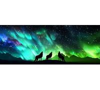 5D Diamond Painting Kits for Adults, 175x70cm Northern Lights Diamond Art, Cross Stitch Embroidery Crystal Art Crafts Wolf Painting by Numbers, Hobbies Women, Pictures Living Room Wall Decor xg-358