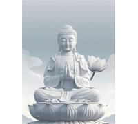 5D Diamond Painting Kits for Adults, 40x50 cm DIY Full Drill White Dimond Art, Zen Crystal Art Adult Crafts with Diamonds and Tools, Paint by Numbers Cross Stitch for Home Room Wall Decor FG-912