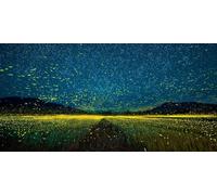 5D Diamond Painting Kits for Adults & Children, Beautiful Starry Sky Full Drill Round Diamond Art, DIY Stress-Relieving Craft for Home Decor, Sparkling Rhinestone Embroidery Beginners 100x150cm A834