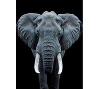 5D Diamond Painting Kits for Adults, Elephant Diamond Art Animal Dimond Painting, DIY Square Full Drill Gem Art Crafts for Adults Beginner Embroidery Cross Stitch Kits for Room Decor 40X54Inch -yx2656