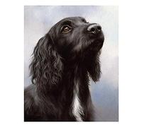 5D Diamond Painting Kits for Adults English Cocker Spaniel Dog Paint by Numbers Full Drill Round Rhinestone Craft Canvas for Home Wall Decor 30x40cm