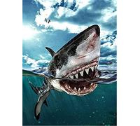 5D Diamond Painting Kits for Adults, Ferocious Shark DIY Diamond Art Full Drill Crystal Rhinestone Embroidery Cross Stitch Perfect for Relaxation and Canvas Home Wall Decoration 60x90cm