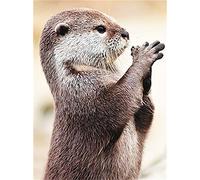 5D Diamond Painting Kits for Adults,Full Drill Diamond Art Kits Crystal Rhinestone Embroidery Cross Stitch Diamond Painting for Home Wall Decor and DIY Gift Animal Sea Otter Square Drill,30x40cm
