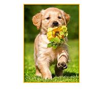 5D Diamond Painting Kits for Adults Full Drill DIY Diamond Paintings Dog and Rose Art Crystal Rhinestone Embroidery Mosaic Pictures Cross Stitch Arts Craft for Home Gem Painting Kits Gifts 30X40CM