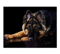 5D Diamond Painting Kits for Adults, German Shepherd DIY Diamond Art Full Drill Cross Stitch Kit Crystal Embroidery Pictures Arts Craft for Home Decor 40x50cm Y3385