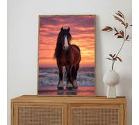 5D Diamond Painting Kits for Adults, Horse & Ocean Diamond Art Kit for Home Wall Decor, 35x45cm Full Drill Crystal Embroidery Cross Stitch Arts and Crafts, DIY Gem Art Gift for Beginners 1Z-606
