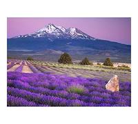 5D Diamond Painting kits for Adults Kids,Lavender Field Diamond Art by Numbers Kits DIY Full Drill Crystal Rhinestone Embroidery Cross Stitch Diamond Paintings Craft for Home Office Wall Decor 40x60cm