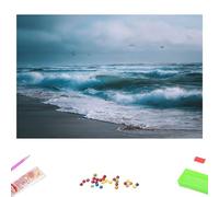 5D Diamond Painting Kits for Adults, Ocean & Bird Diamond Art Kit for Home Wall Decor, 30x50cm Full Drill Crystal Embroidery Cross Stitch Arts and Crafts, DIY Gem Art Gift for Beginners 1Z-1205