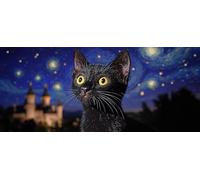 5D Diamond Painting Kits for Adults, Starry Sky Black Cat Diamond Art Kits Adults, Full Drill Crystal Art Kit, DIY Cross Stitch Arts Crafts Pictures Embroidery Kit for Home Wall Decor 36x84 Inch M-801