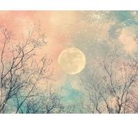 5D Diamond Painting Kits for Adults, Starry Sky Diamond Art Moon Sequin Gem Art Kits Kids Beginner, 90x120cm Large DIY Full Drill Rhinestone Embroidery Pictures, Home Wall Decor, Gifts for Women G-986