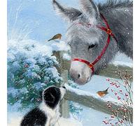 5D Diamond Painting Kits Full Drill Diamond Embroidery Pictures Painting by Number DIY Art Crafts Crystal Rhinestone Cross Stitch Canva Wall Decor Ideal for Leisure Play Donkey （30x30cm/12x12in）