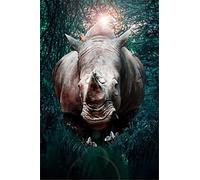 5D Diamond Painting Kits Full Drill Large African Animal Rhino 60x80cm DIY Diamond Art Kits for Adults Rhinestone Embroidery Pictures Cross Stitch Art Crafts Room Decoration Home Office (24x32in)