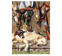 5D Diamond Painting Kits Full Drill Large Hound Pheasant Shotgun 30x50cm DIY Diamond Art Kits for Adults Rhinestone Embroidery Pictures Cross Stitch Art Crafts for Room Decoration Home Office 12x20in