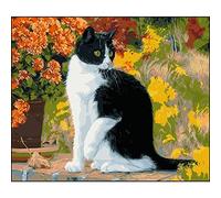 5D Diamond Painting Kits Full Drill Large square drill Black and White Cat 30x40cm DIY Diamond Art Kits for Adults Rhinestone Embroidery Pictures Cross Stitch Art Crafts Room Decoration Home Office