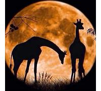 5D Diamond Painting Kits, Giraffe Family Moon Earth Animals WOWDECOR Full Drill DIY Diamond Art Cross Stitch Paint by Numbers
