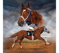 5D Diamond Painting Kits,Horse Racing Adults Kids Round drill Diamond Art by Numbers Kits DIY Full Drill Crystal Embroidery Cross Stitch Diamond Paintings Craft for Home Office Wall Decor 40x40cm