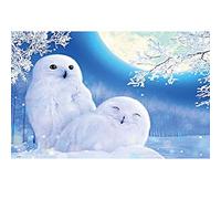 5D Diamond Painting Kits, White Snow Eagle Moon Silver Tree Animals WOWDECOR Full Drill DIY Diamond Art Cross Stitch Paint by Numbers